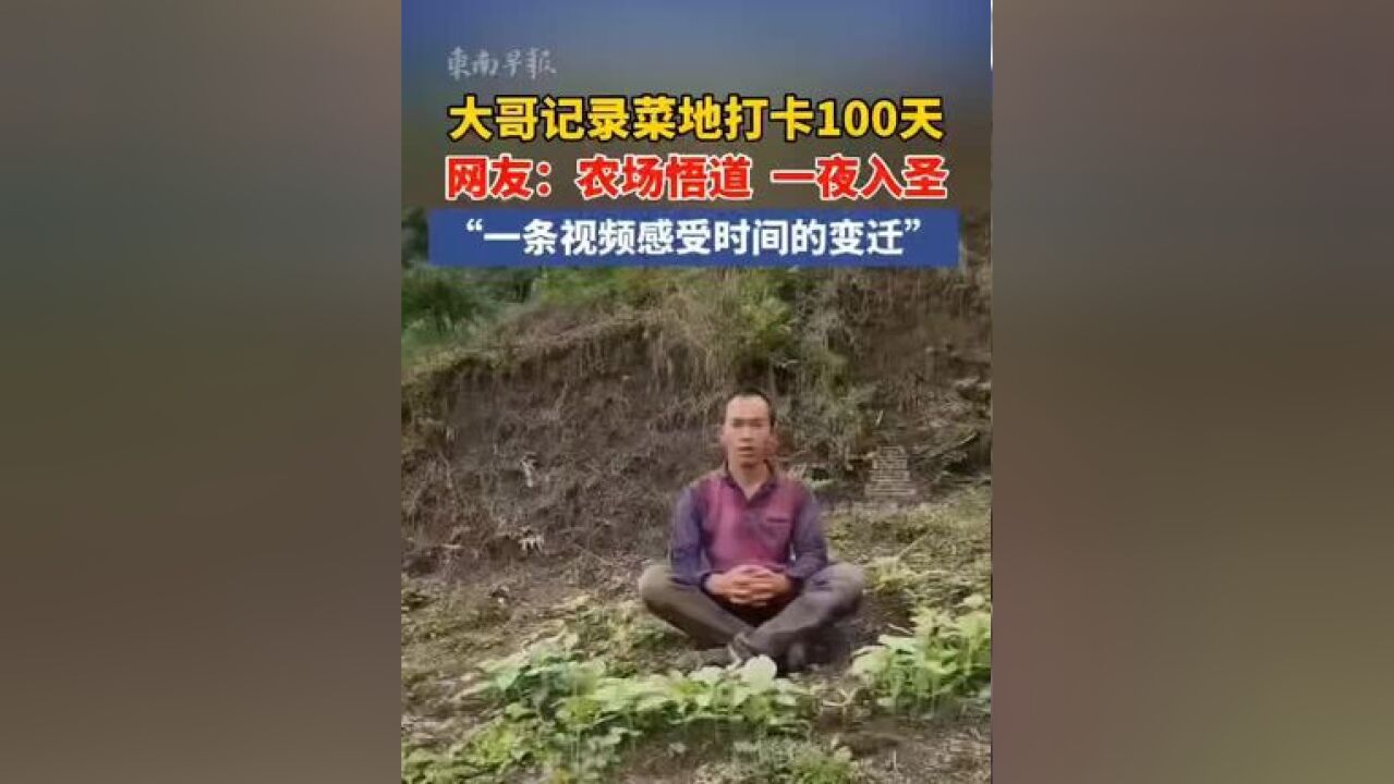 一条视频感受时间的变迁~大哥记录菜地打卡100天,网友:农场悟道,一夜入圣