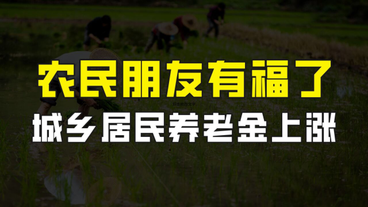 农民朋友有福了,2023年城乡居民养老金上涨,更好保障我们的养老生活