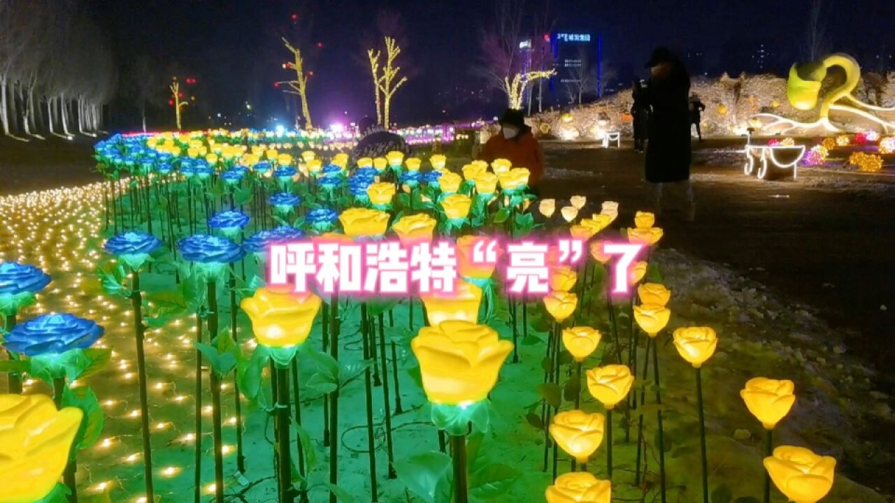 “夜游青城”,看看今年呼和浩特春节期间的夜景有啥“亮点”