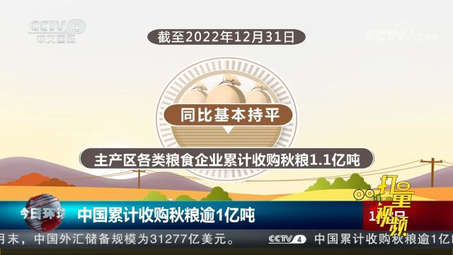 国家粮食和物资储备局:中国累计收购秋粮逾1亿吨