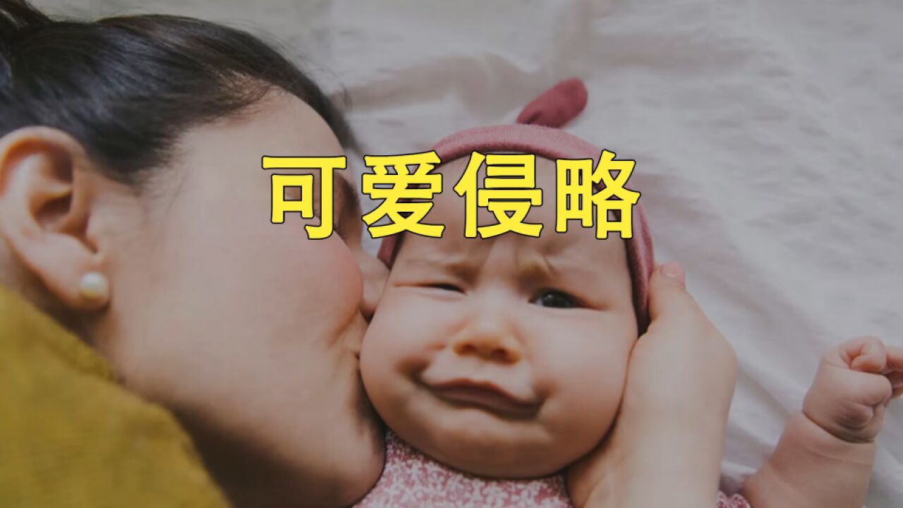 看到可爱的东西,为何老想捏一捏?