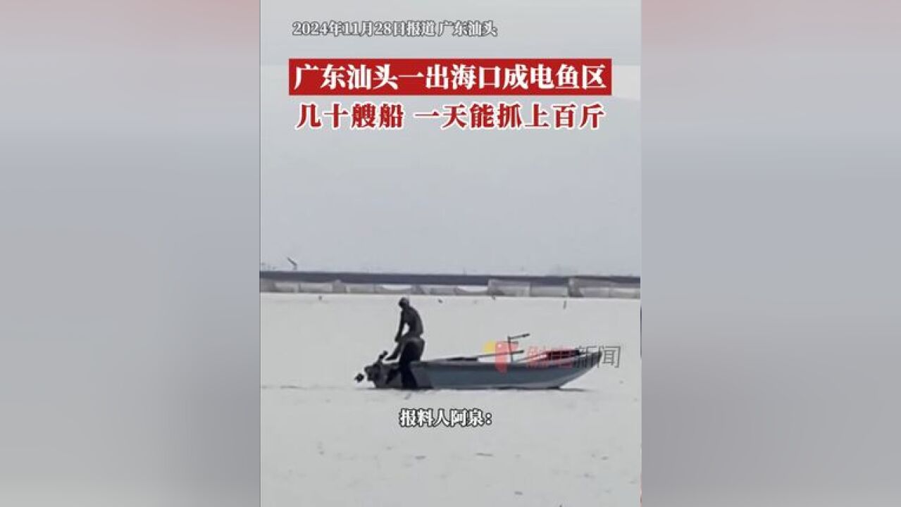 广东汕头,澄海区街坊阿泉,经常在澄海义丰溪的入海口附近海钓,最近发现电鱼船越来越多,这些电鱼船退潮出涨潮回,几乎天天出动,...