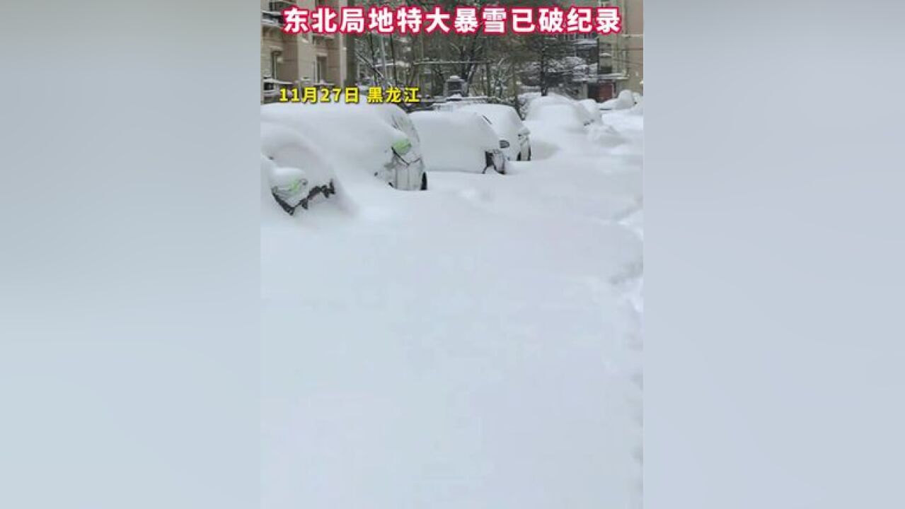 东北局部特大暴雪一破纪录,车主都在开盲盒!