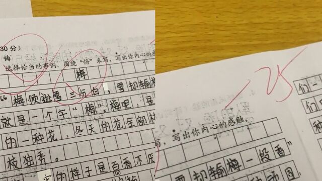 6年级学生写“满分作文”,老师却忍痛扣25分:把“悔”看成“梅”