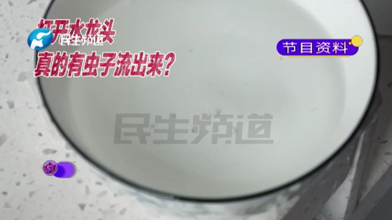 河南新郑:自来水流出小虫子?冲洗管道还有活虫,业主:只想喝上放心水