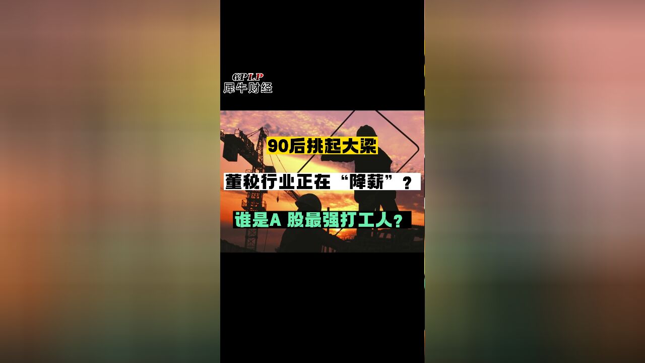 90后挑起大梁董秘行业正在“降薪”?谁是A 股最强打工人?