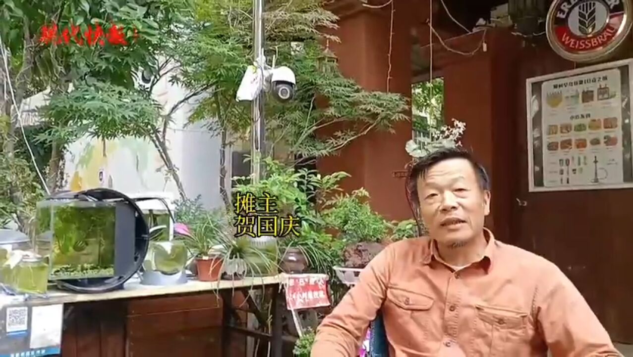 南京有个无人售卖摊位卖盆景,24小时不打烊成交额一笔没少