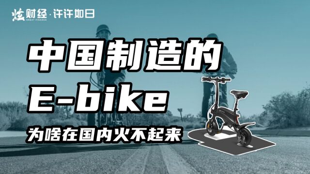 中国制造的Ebike火遍全球,但为何国内没热起来?