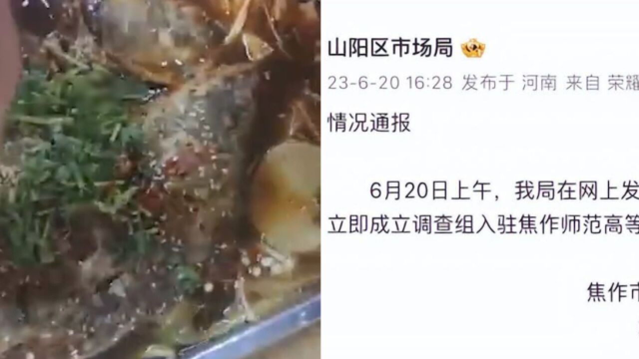 市监局通报焦作一学校食堂烤鱼被指现蛆虫:成立调查组,结果将及时公布