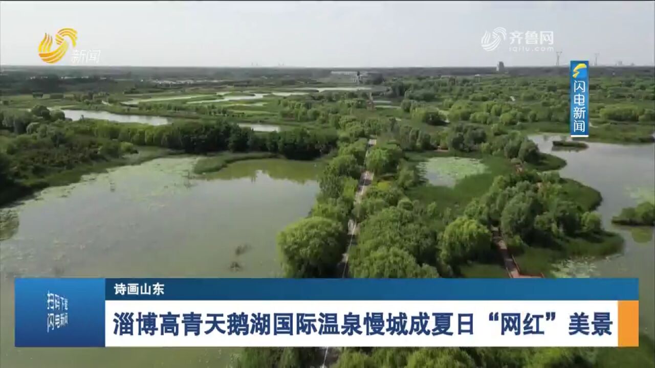 各色花朵竞相绽放!淄博高青天鹅湖国际温泉慢城成夏日＂网红＂美景