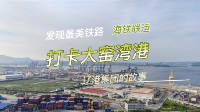 打卡大窑湾港,关于辽港集团的故事