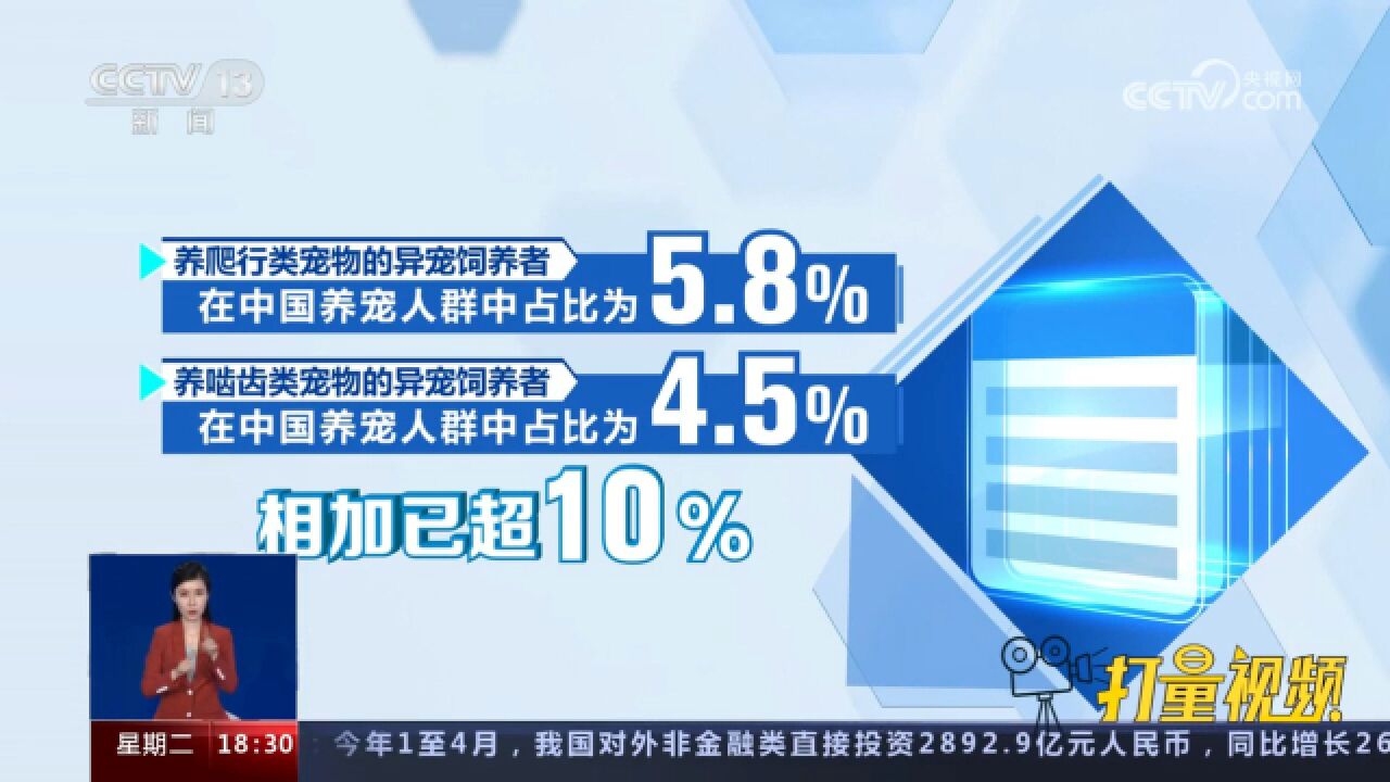 广州海关:专项行动截获超400头非法入境“异宠”