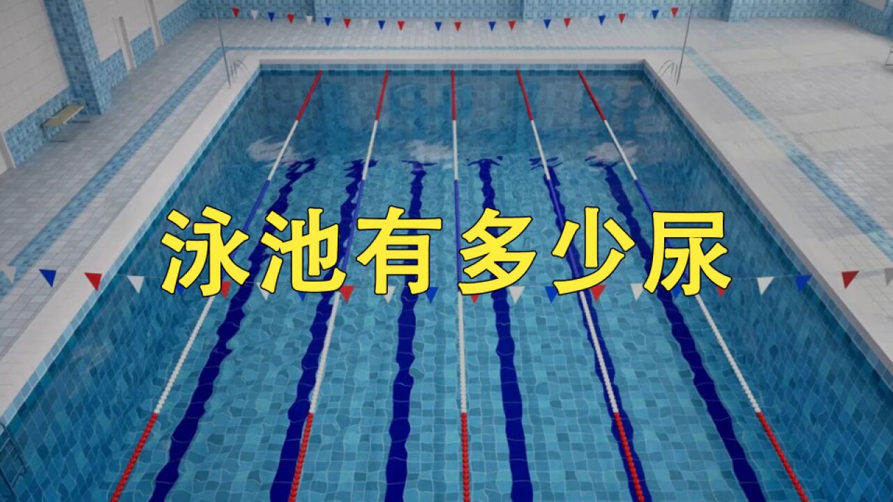 一个游泳池里,到底有多少尿?