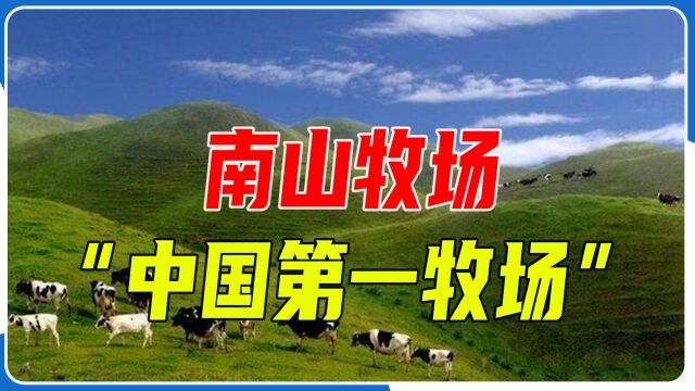 南山牧场:在红色热土上成就的“中国第一牧场”