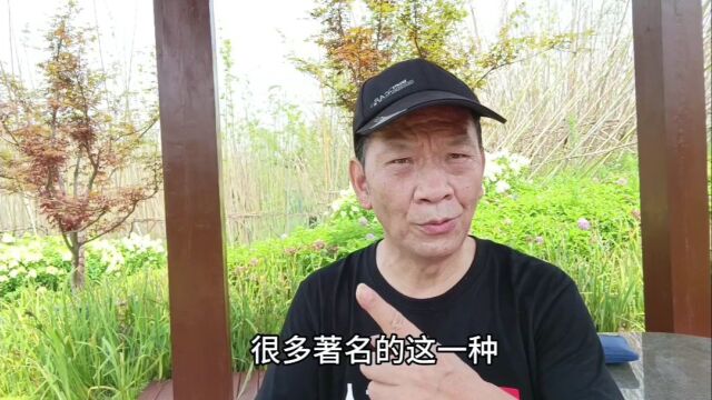 忘年恋是“馅饼”还是“陷阱”?南京64岁钱大哥的真实经历