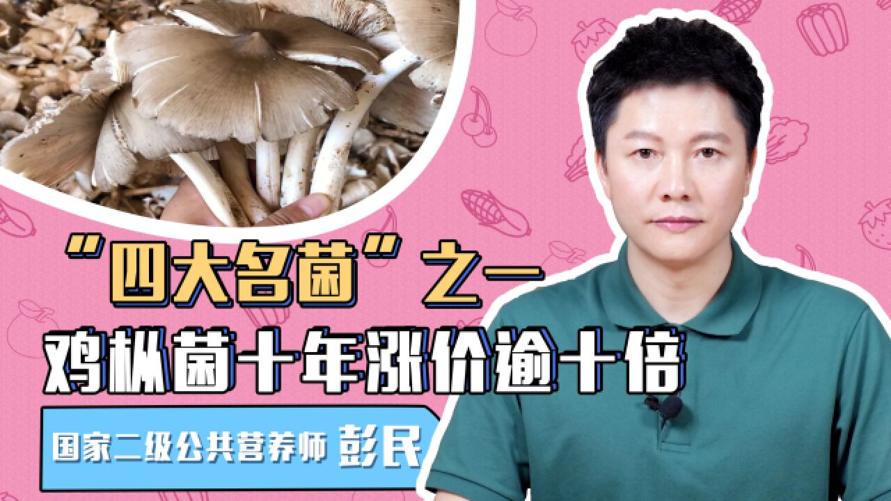 “四大名菌”之一,鸡枞菌十年涨价逾十倍