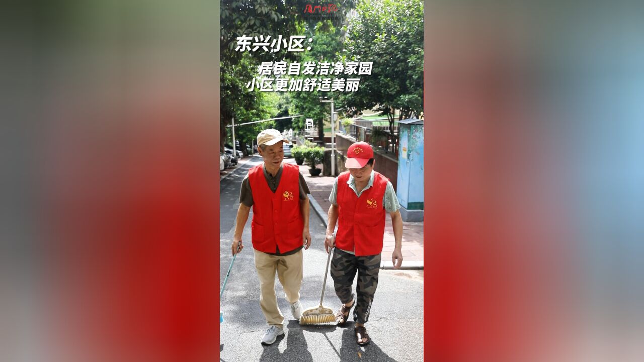 东兴小区:居民自发洁净家园,小区更加洁净美丽!