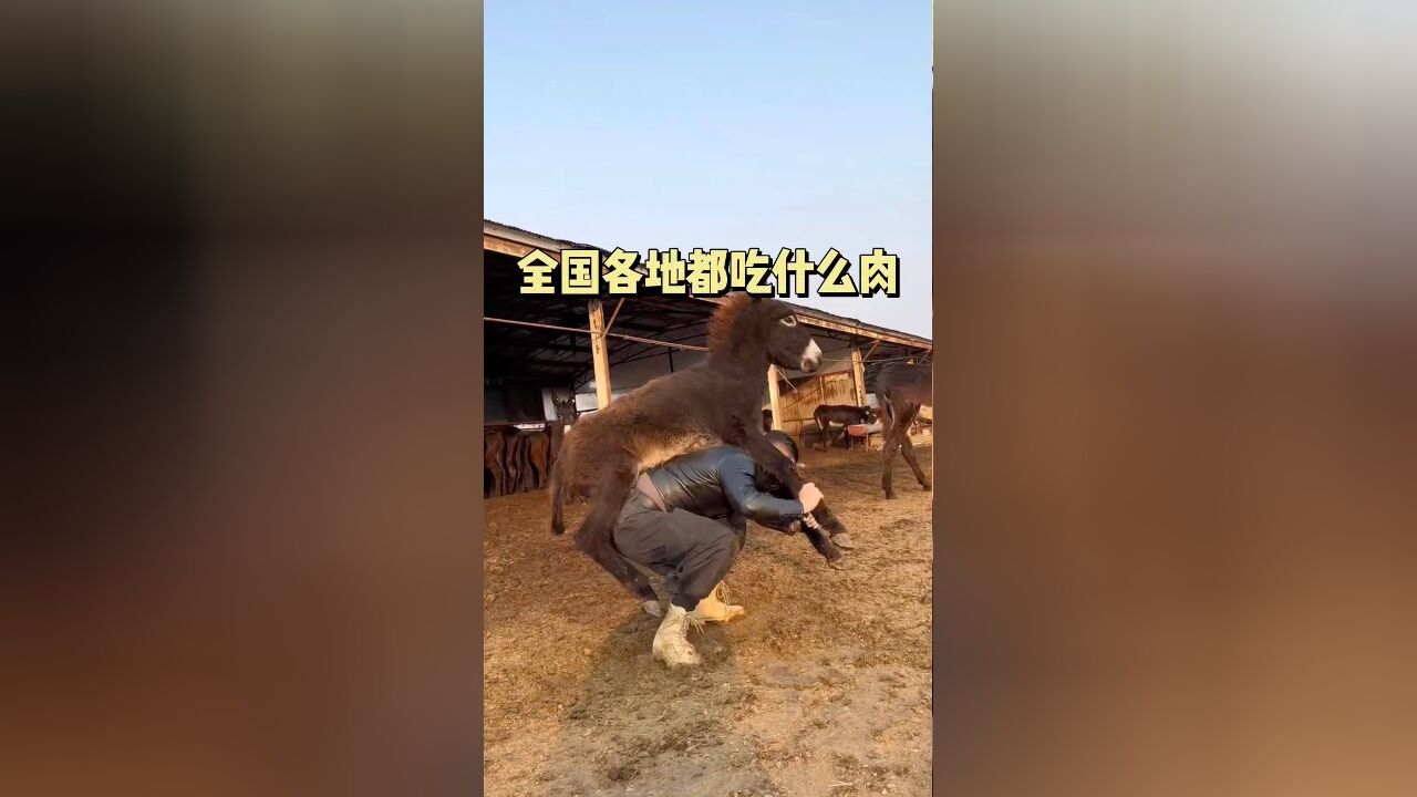 全国各地都吃什么肉