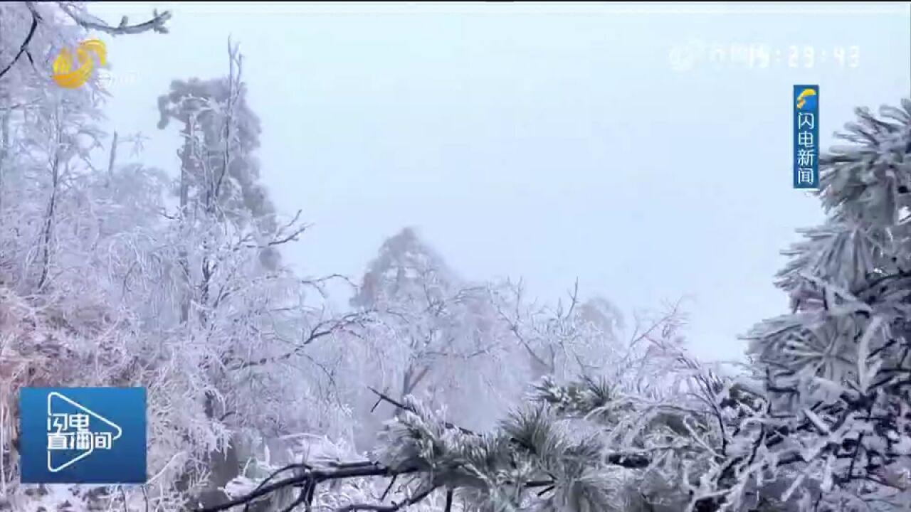 蒙山云蒙景区出现雾凇冰挂景观,山间雾气缭绕,来邂逅冰雪童话