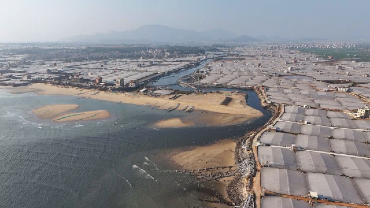 福建禁养区遍布海水养殖场:废水直排入海 海面形成黑色污染带