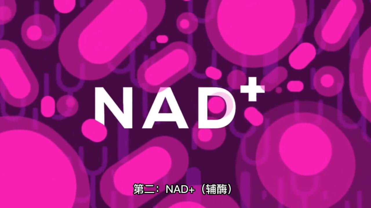 与身体密切相关的#抗衰 物质NAD+,它是什么来头,对身体又有什么作用呢?