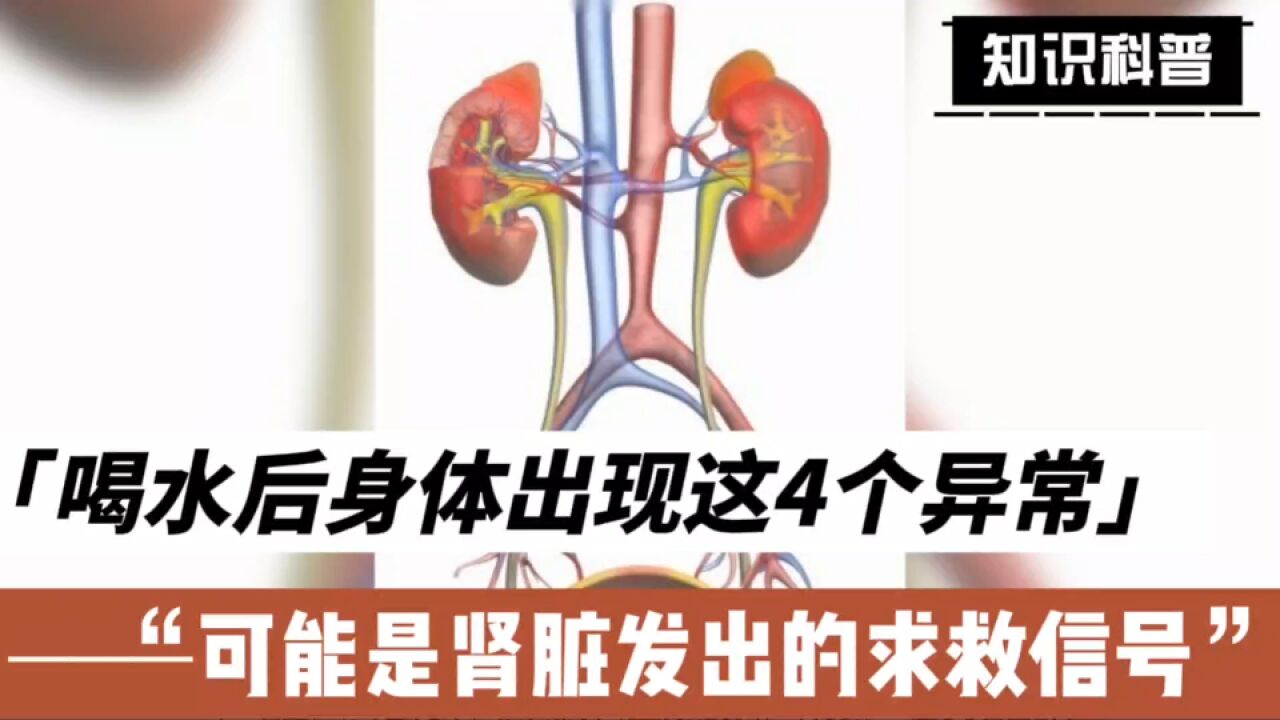 喝水后身体出现这4个异常,可能是肾脏发出的“求救信号”