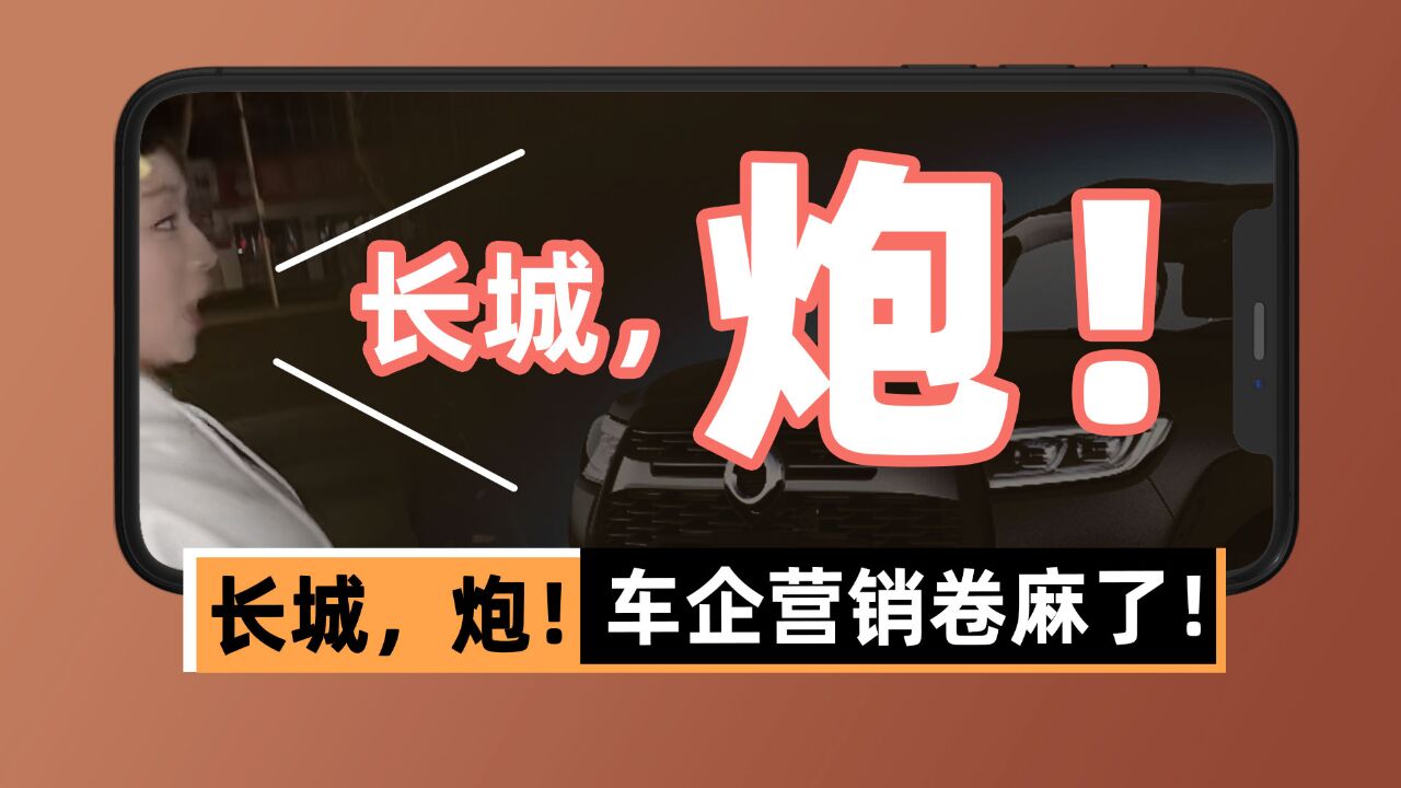 长城将雷军、李斌轰进直播间,车企营销卷麻了