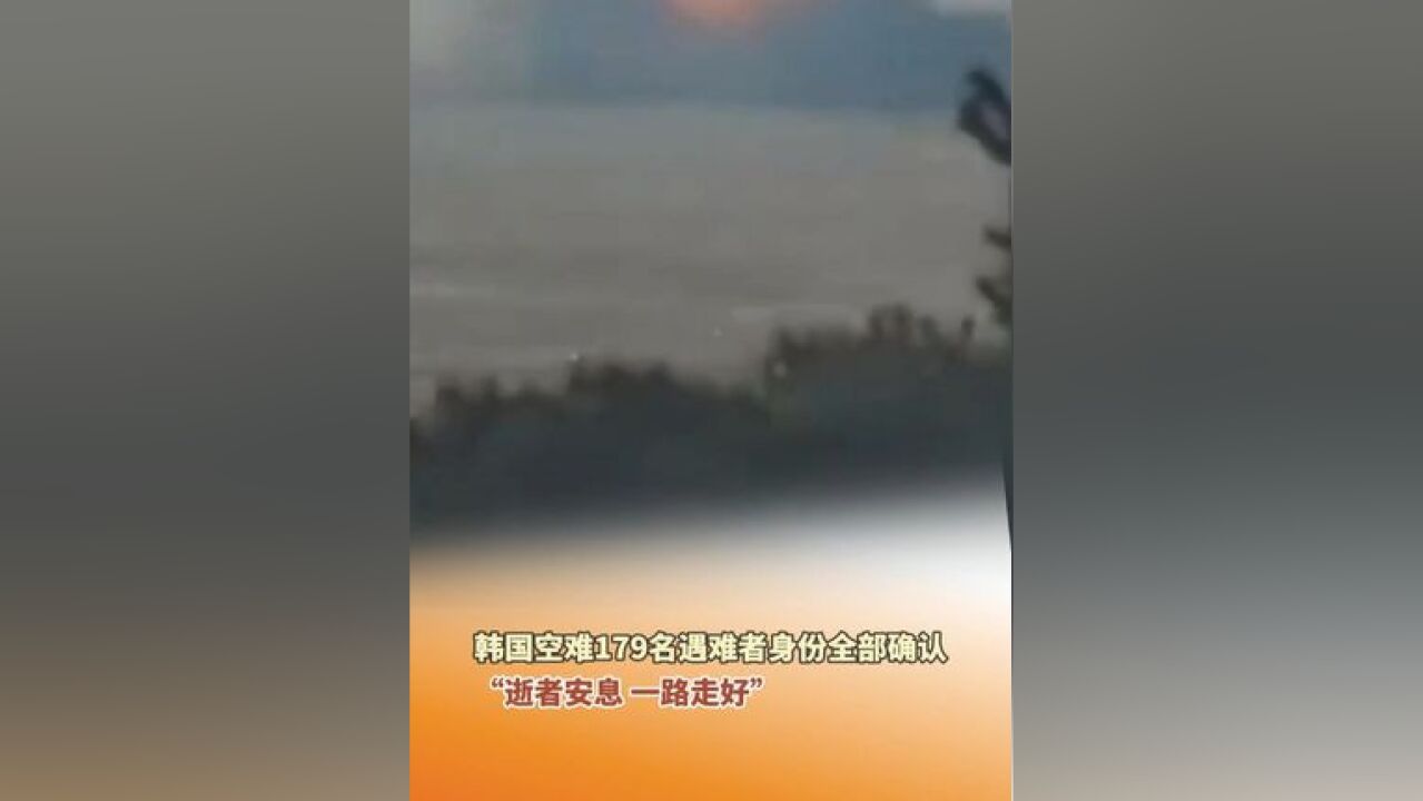 1月1日,韩国空难179名遇难者身份全部确认