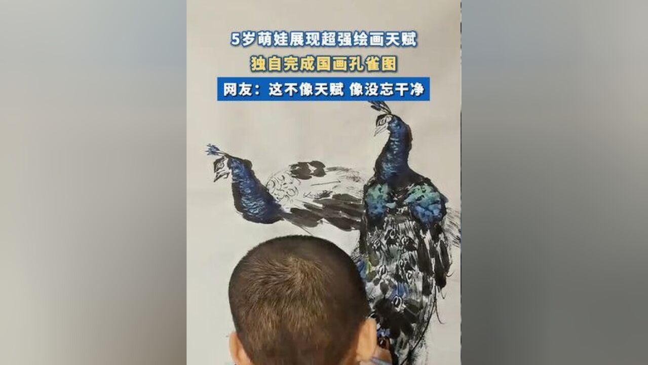 5岁萌娃独自完成国画孔雀图 网友:这不像天赋 像没忘干净