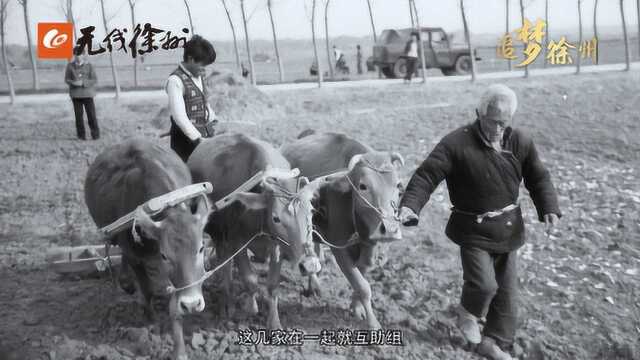 追梦徐州铜山汉王