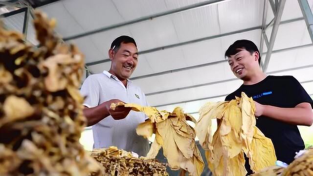 陕西安康:建立多个特色产业园区 因地制宜精准扶贫