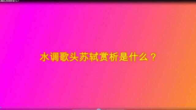 水调歌头苏轼赏析是什么?