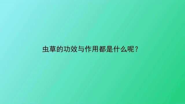 虫草的功效与作用都是什么呢?