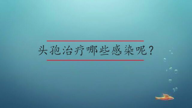 头孢治疗哪些感染呢?