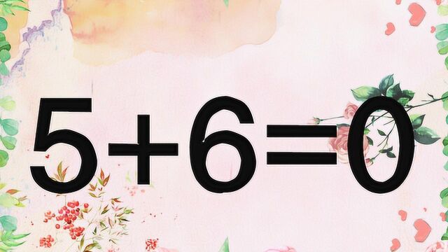 奥数5+6=0能成立?难度适中,学霸能很快做出来,你可以吗?