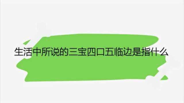 生活中所说的三宝四口五临边是指什么