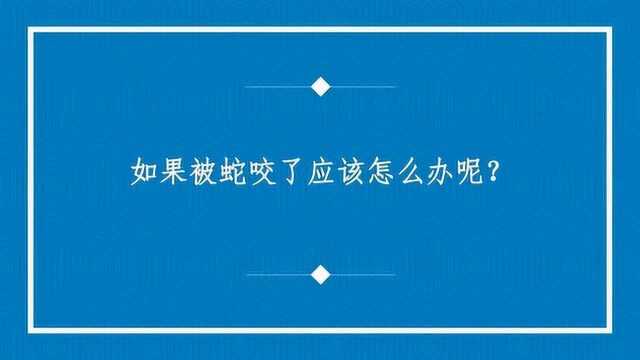 如果被蛇咬了应该怎么办呢?