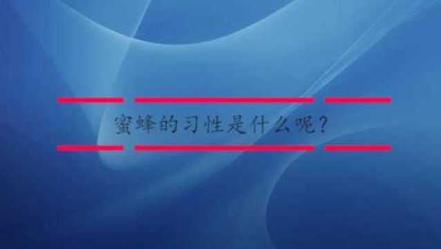 蜜蜂的习性是什么呢?