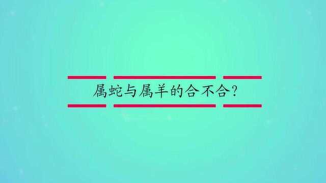 属蛇与属羊的合不合?