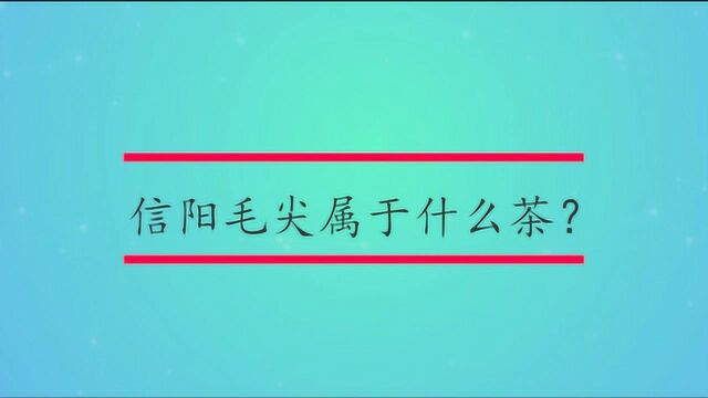 信阳毛尖属于什么茶?