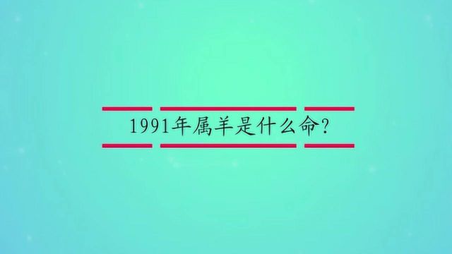 1991年属羊是什么命?