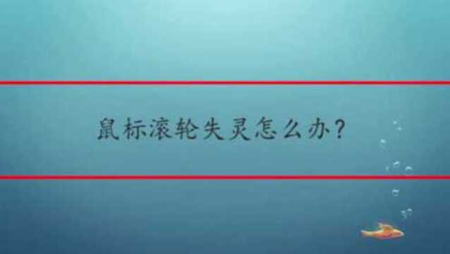 鼠标滚轮失灵怎么办?