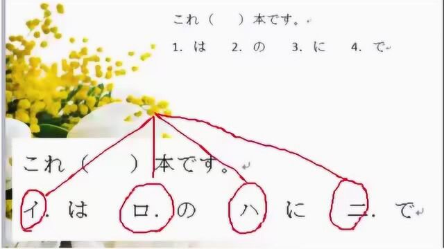 【日语学习】N1大神告诉你日语考试那些必须学会的日语知识