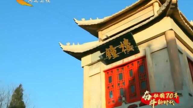 辛集:扩容提质 为高质量发展蓄能增势