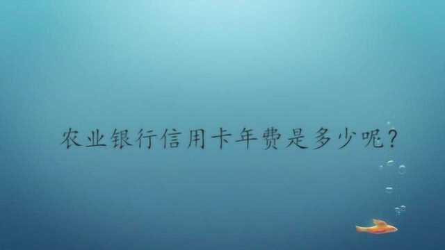 农业银行信用卡年费是多少呢?