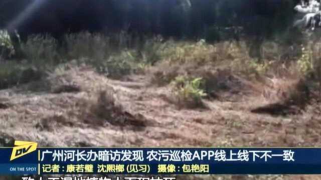 广州河长办暗访发现 农污巡检APP线上线下不一致