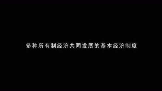 深刻理解社会主义基本经济制度的新内涵