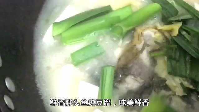 鲜香《胖头鱼炖豆腐》,味美鲜香,好吃到不想停,下饭必备!