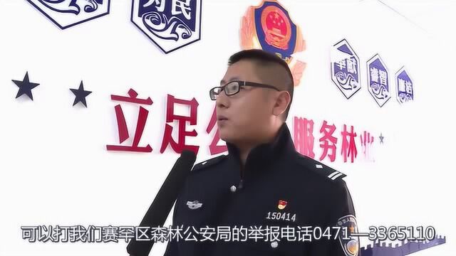 赛罕区森林公安局在行动