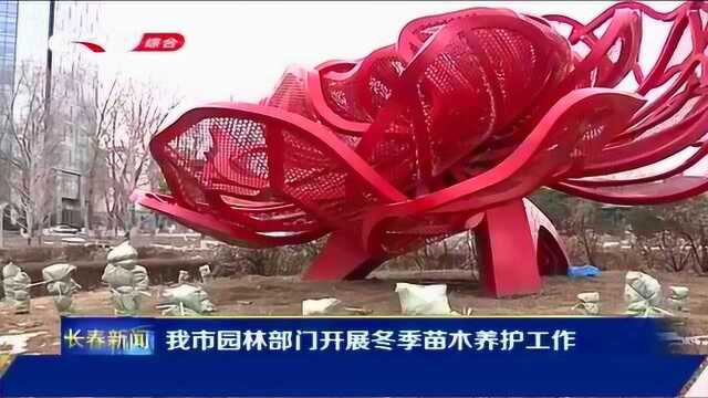 牡丹园里牡丹也过冬 长春市园林部门开展冬季精细化养护工作